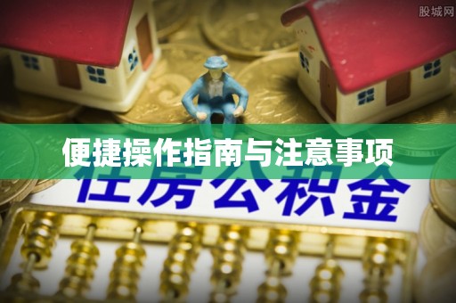 玄武便捷操作指南与注意事项