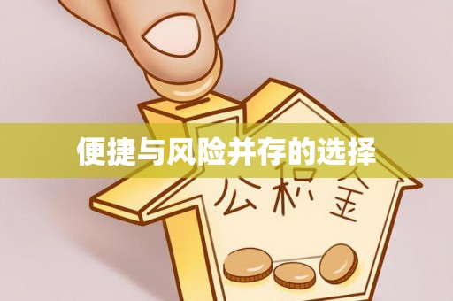 小金便捷与风险并存的选择